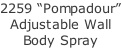2259 “Pompadour” Adjustable Wall Body Spray